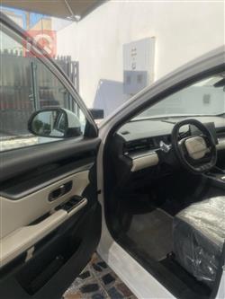 جیتۆر داشينگ